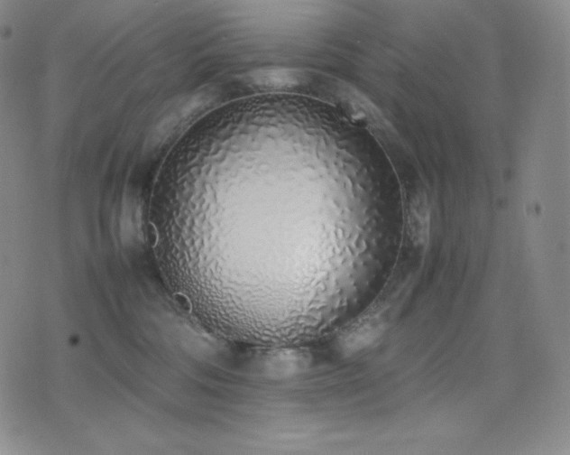 X0000077280330200610201115