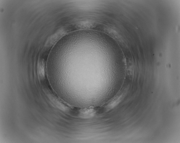 X0000077280334200610201115