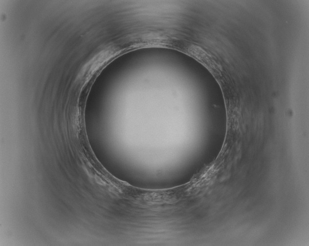 X0000077280338200610201114