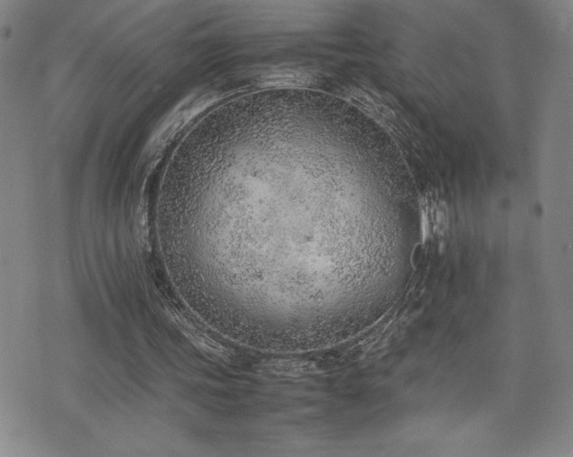 X0000077280339200610201114