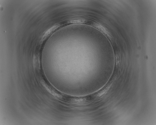 X0000077280349200610201114
