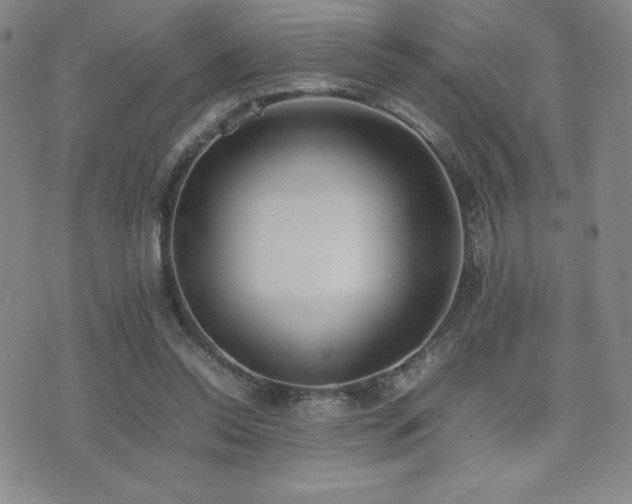 X0000077280350200610201114