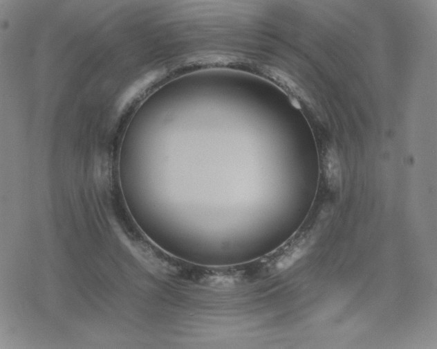 X0000077280352200610201114