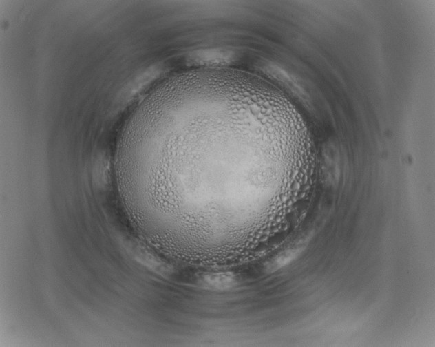 X0000077280355200610201114
