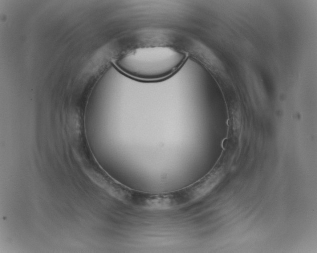 X0000077280362200610201114