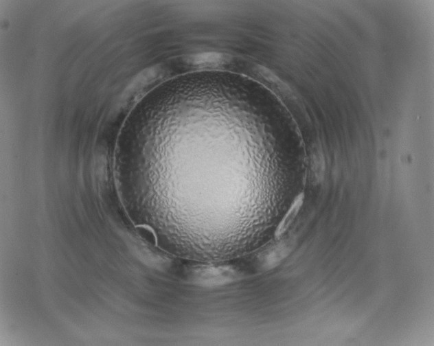 X0000077280379200610201115