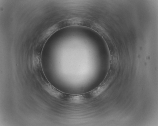 X0000077280382200610201115