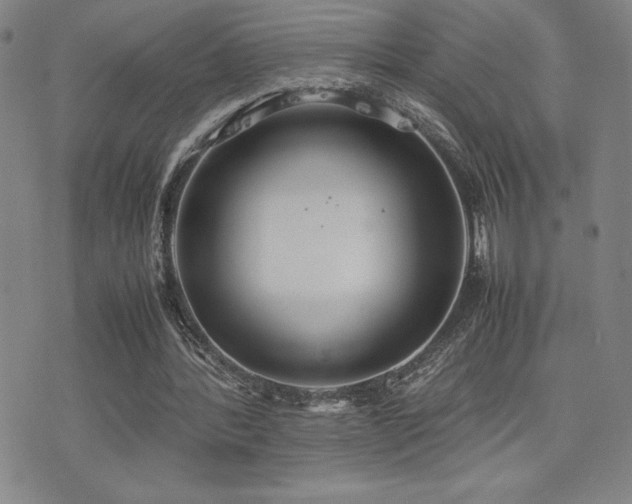 X0000077280388200610201114
