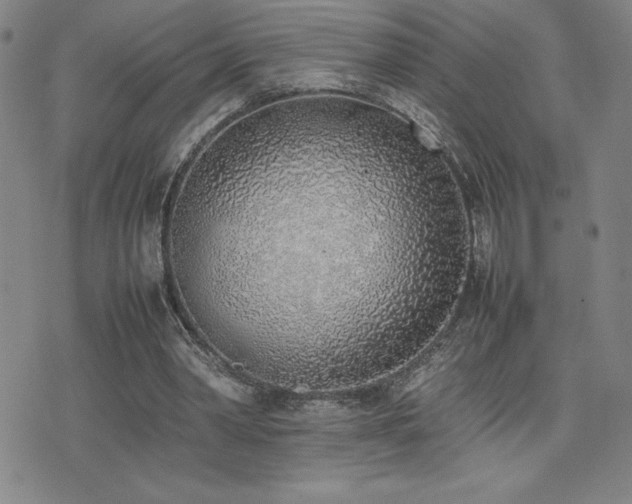 X0000077280390200610201114