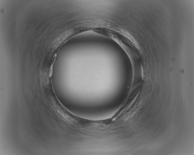 X0000077280393200610201114