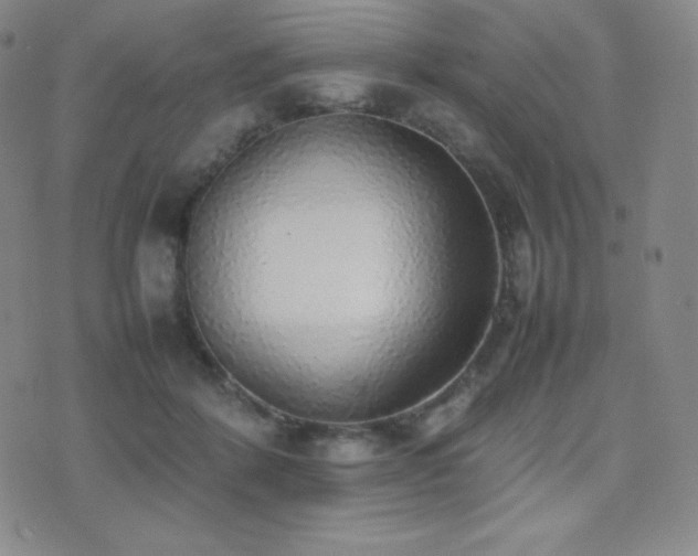 X0000077280412200610201113