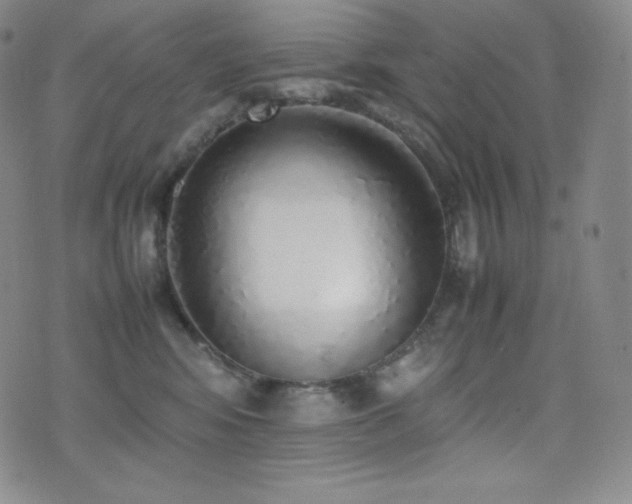 X0000077280424200610201113