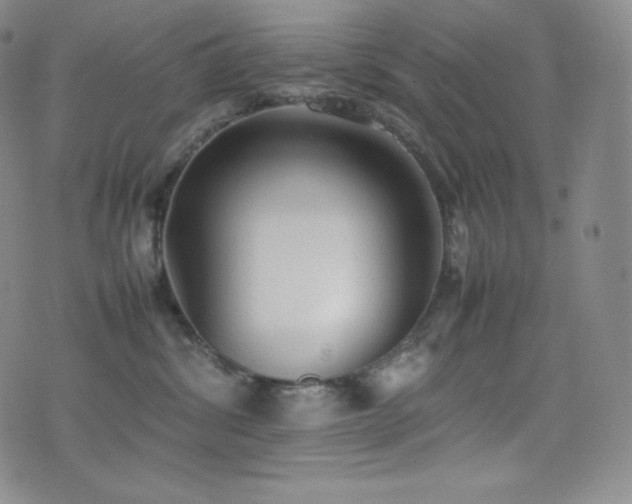 X0000077280428200610201113