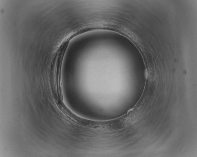 X0000077280434200610201112