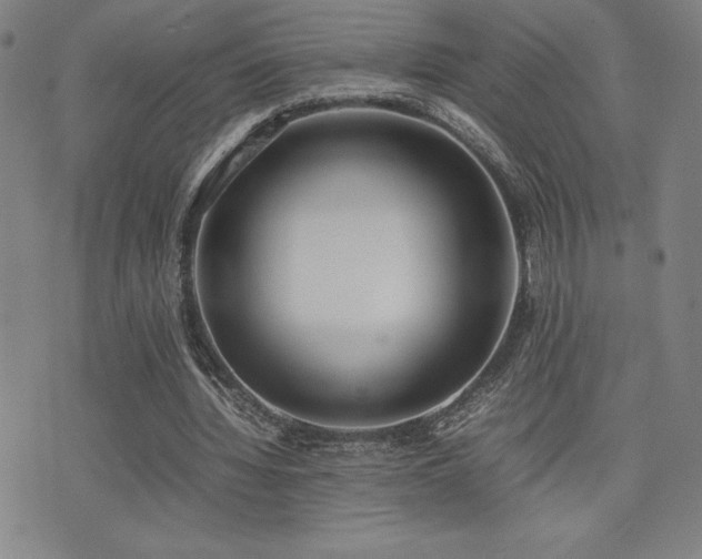 X0000077280436200610201112