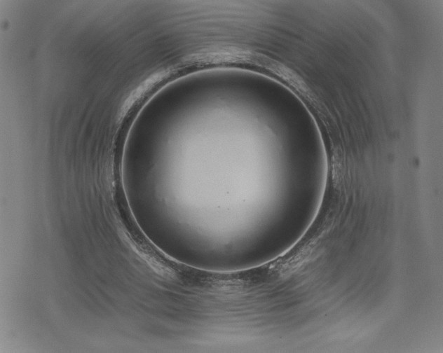 X0000077280438200610201112