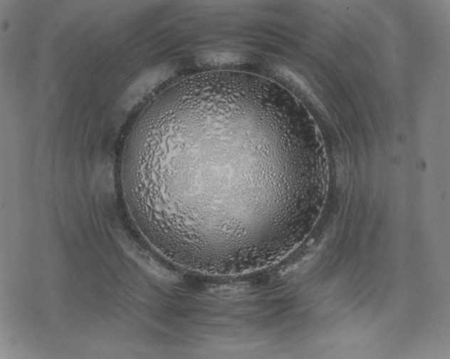 X0000077280447200610201113