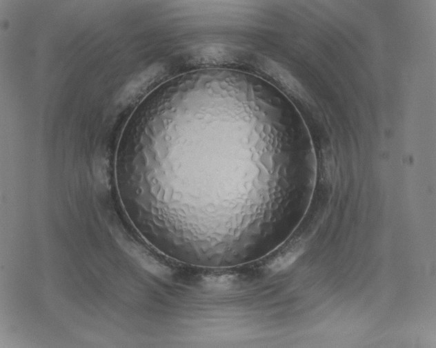 X0000077280450200610201113