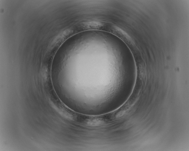 X0000077280451200610201113