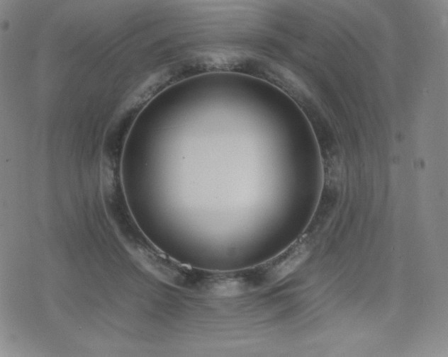 X0000077280456200610201113