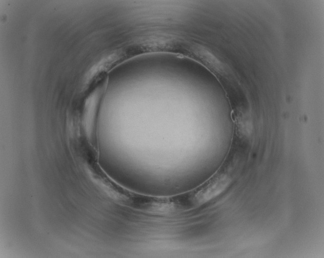 X0000077280458200610201113