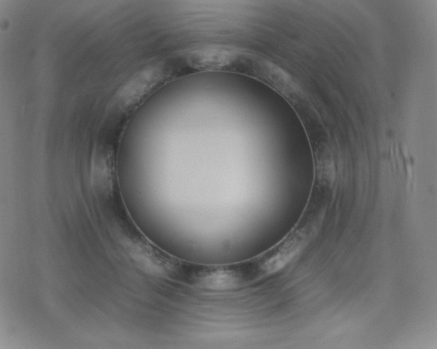 X0000077280460200610201113