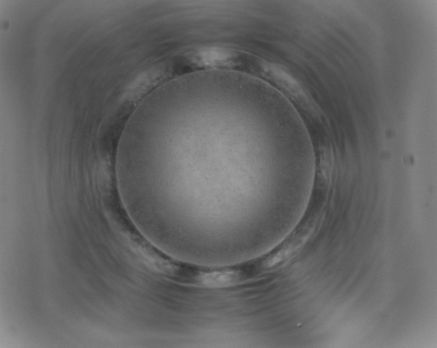 X0000077280461200610201113