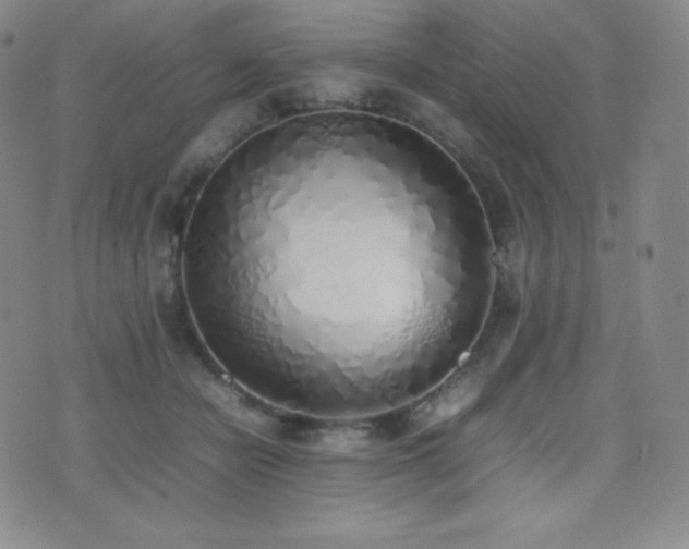 X0000077280462200610201113