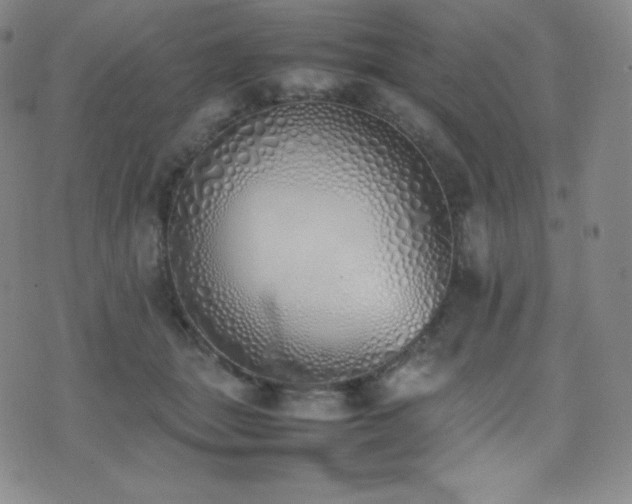 X0000077280463200610201113