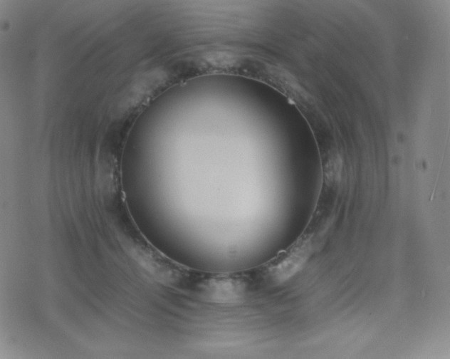 X0000077280464200610201113