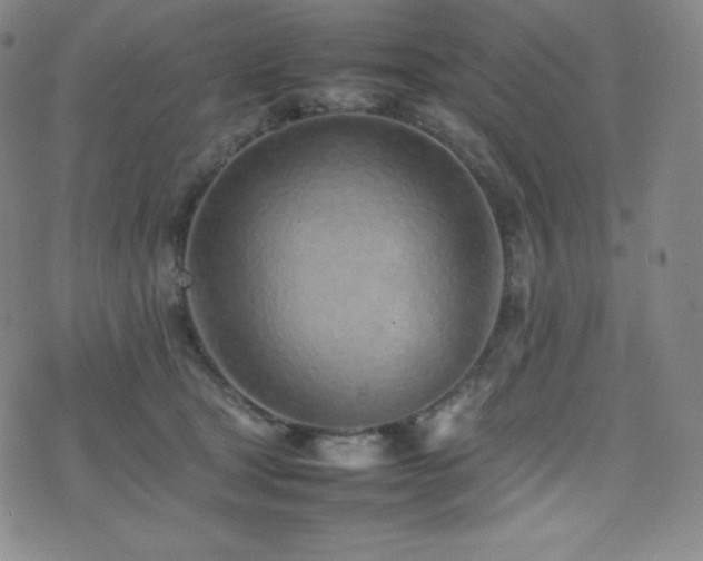X0000077280465200610201113