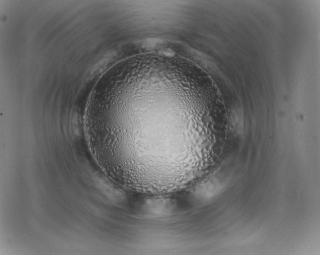 X0000077280470200610201113