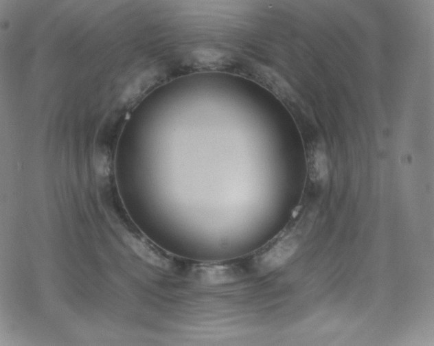 X0000077280472200610201113