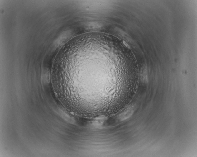 X0000077280474200610201113