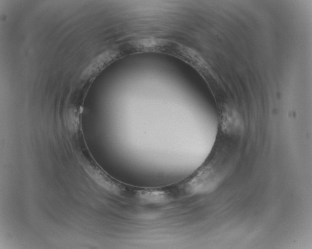 X0000077280476200610201113