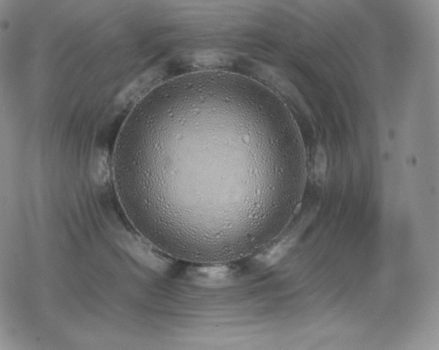 X0000077280478200610201113