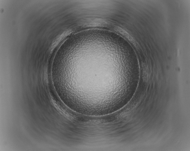 X0000077280482200610201112