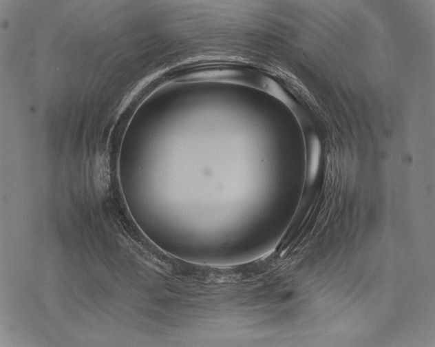 X0000077280484200610201112