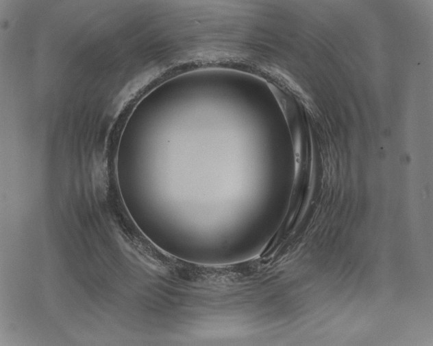 X0000077280488200610201112