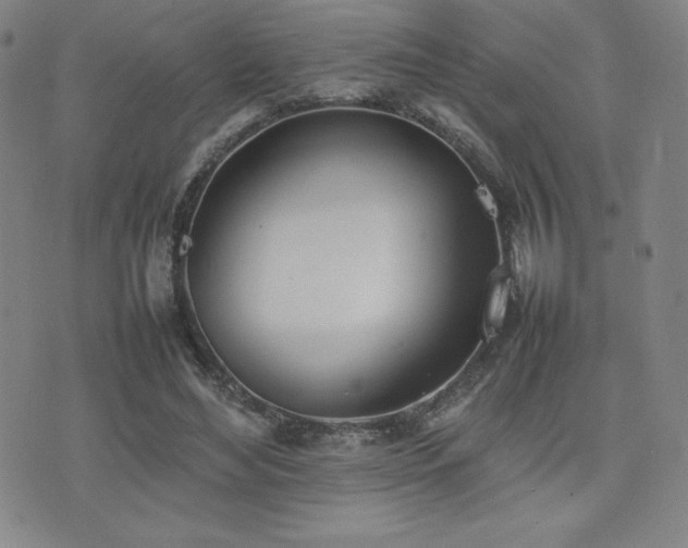 X0000077280492200610201112