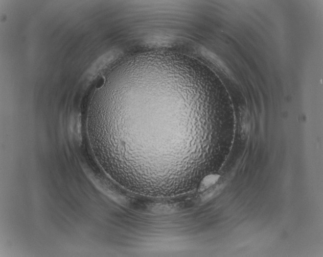X0000077280494200610201112