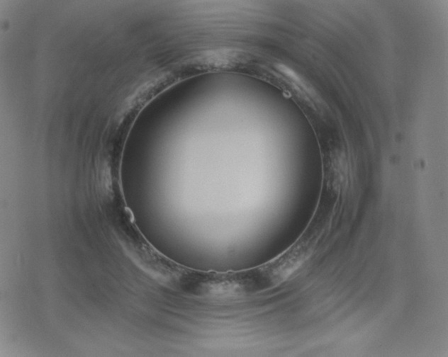 X0000077280500200610201112