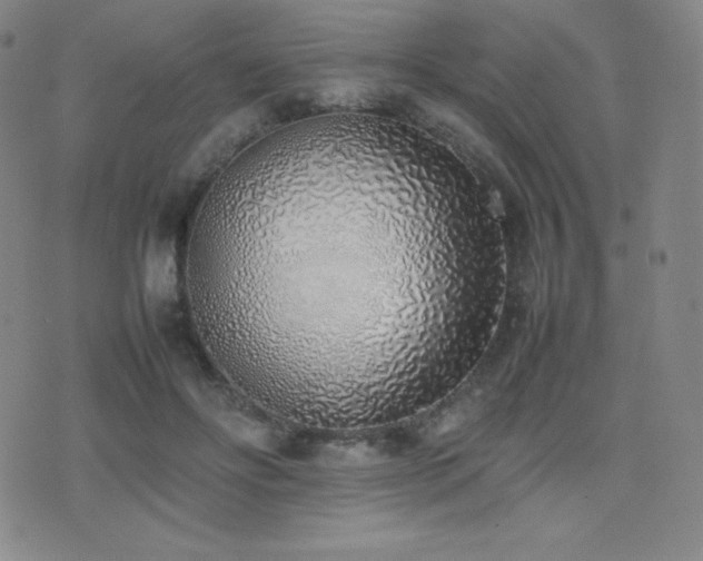 X0000077280502200610201112