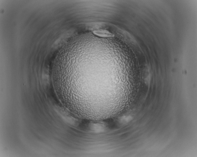 X0000077280510200610201112