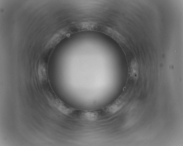 X0000077280522200610201112