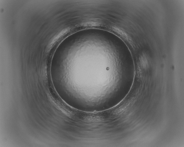 X0000077280535200610201111