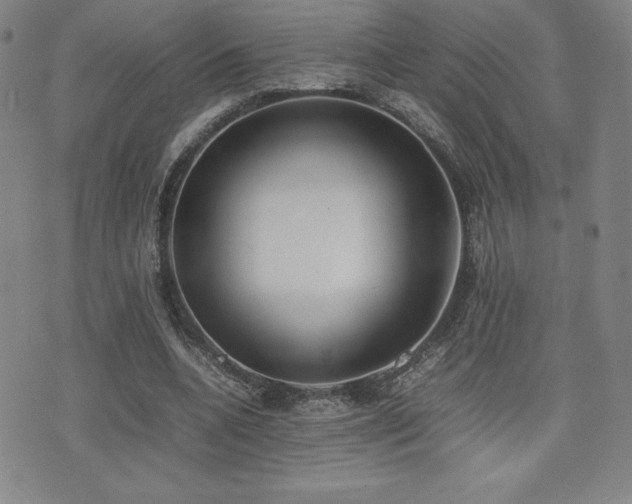 X0000077280536200610201111