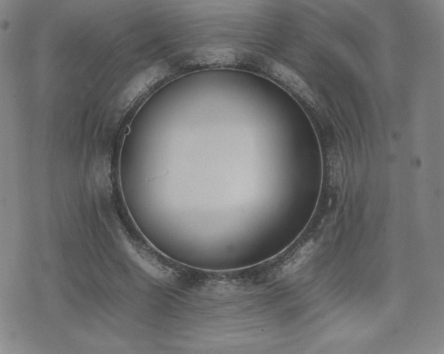 X0000077280538200610201111