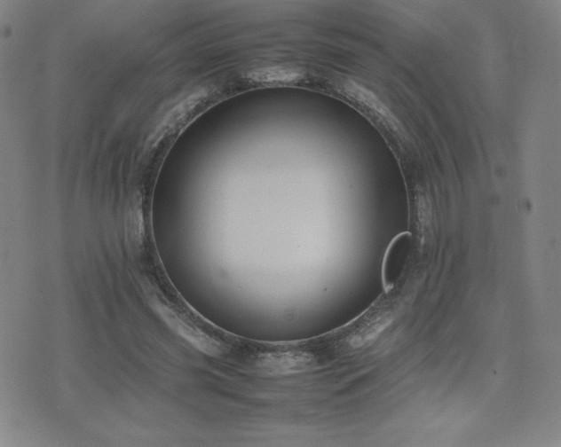 X0000077280541200610201111