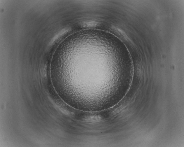 X0000077280543200610201111